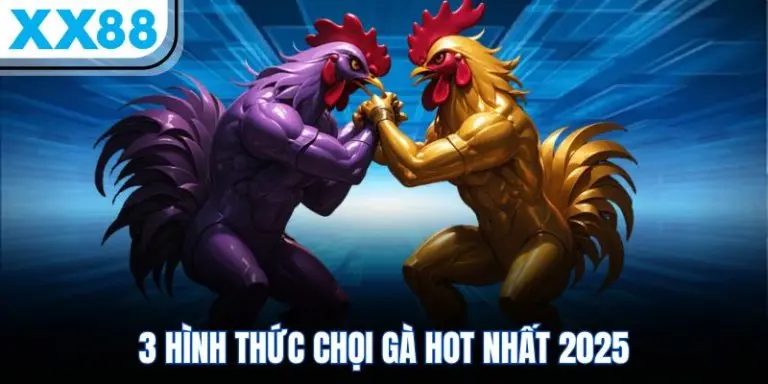 Tổng hợp các hình thức Đá Gà trực tuyến tại XX88