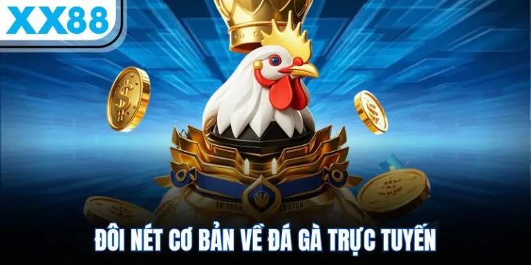 Trực tiếp Đá Gà XX88 tại bồ gà Thomo với chất lượng 4K