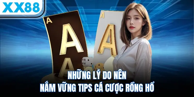 Chiến thuật quản lý vốn 1-2-4-8 giúp bảo toàn lợi nhuận khi chơi Rồng Hổ XX88